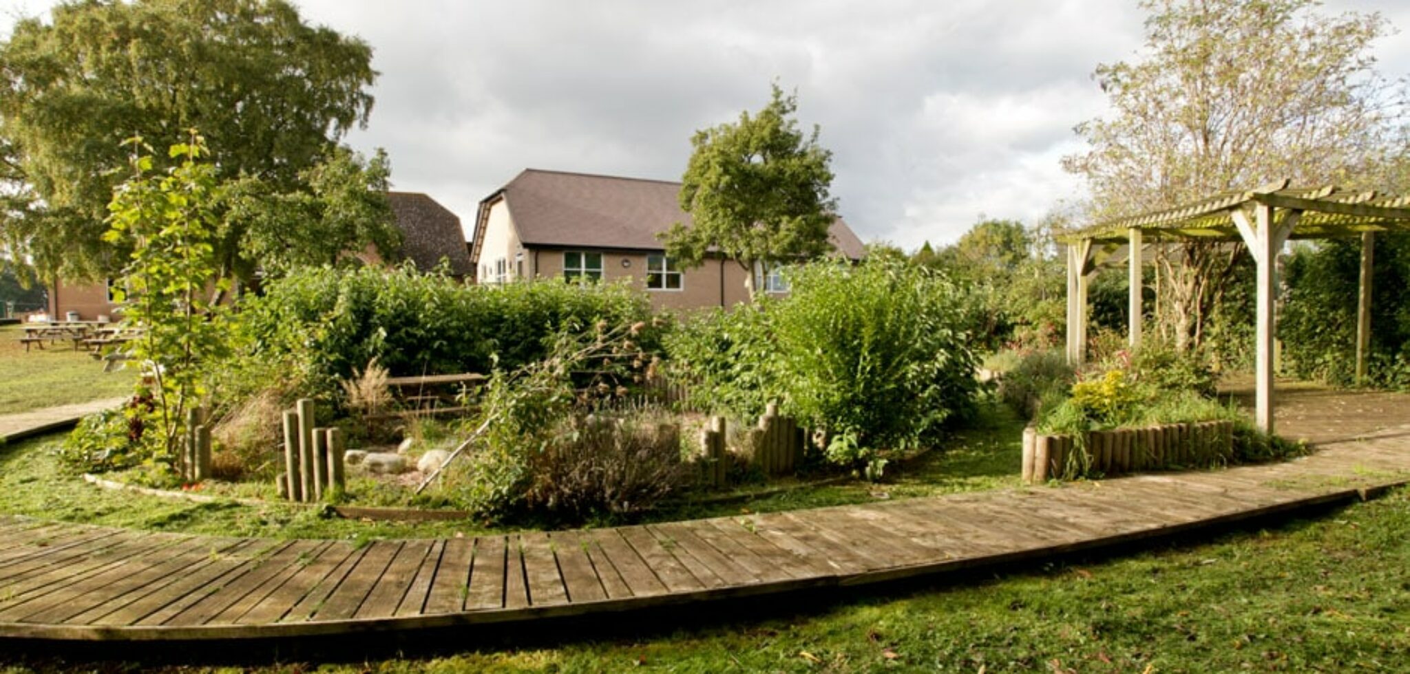 picture of garden and a building